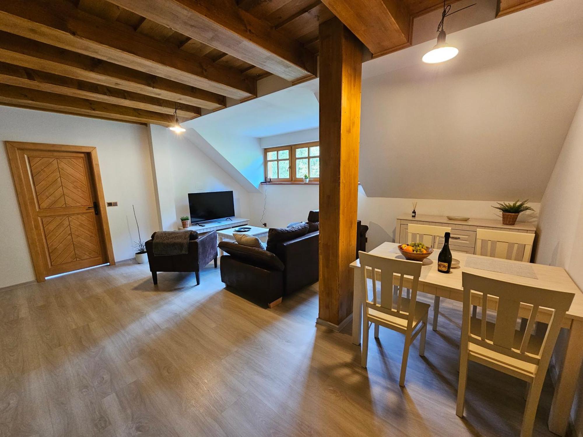 Apartmany Jezerne Velké Karlovice Pokoj fotografie
